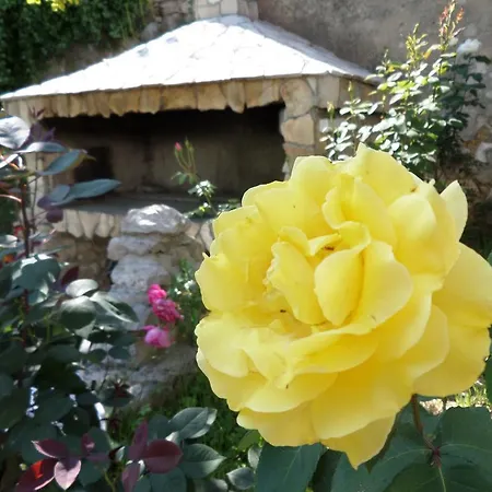 Semesterbostad Iris Blagaj